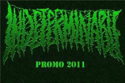 Indeterminable : Promo 2011